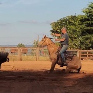 Meet your Posher, Jonathan